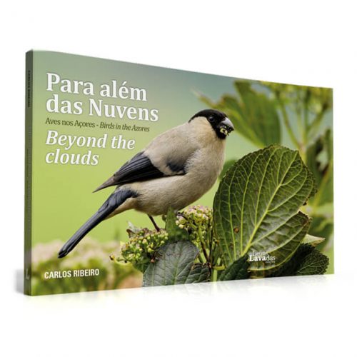 Para além das nuvens
