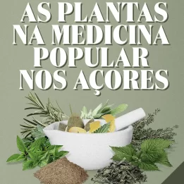 ferramentas or usadas or para or venda, Anúncios grátis nos Açores