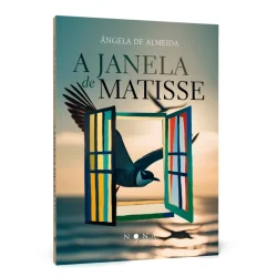 A Janela de Matisse
